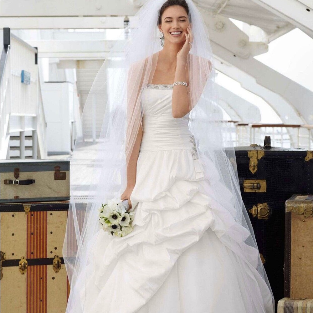 Strapless Tafetta Gown with Organza Underlay